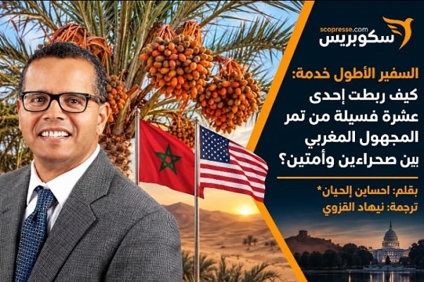 السفير الأطول خدمة: كيف ربطت إحدى عشرة فسيلة من تمر المجهول المغربي بين صحراءين وأمتين؟